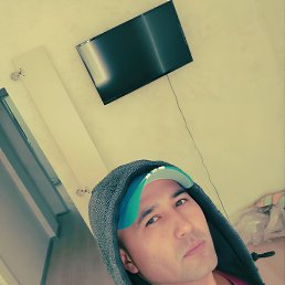 , 38, 