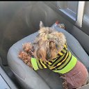 ���� �����, ������, 50 ��� - ��������� 3 ��� 2026