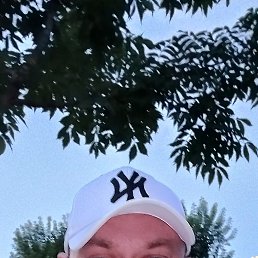 , 37, 