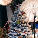 ���� ������., ����� - ��������� 3 ������� 2025 � ������ ������ ��������