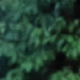 �������, ������, 52 ����