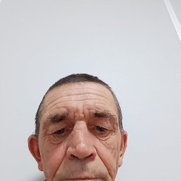 , 52,  