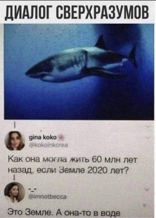 ��� ��� ������