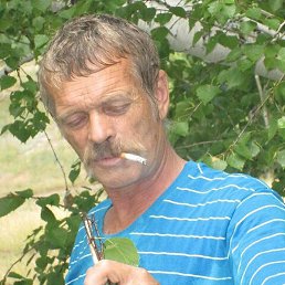 �������, ������, 55 ���