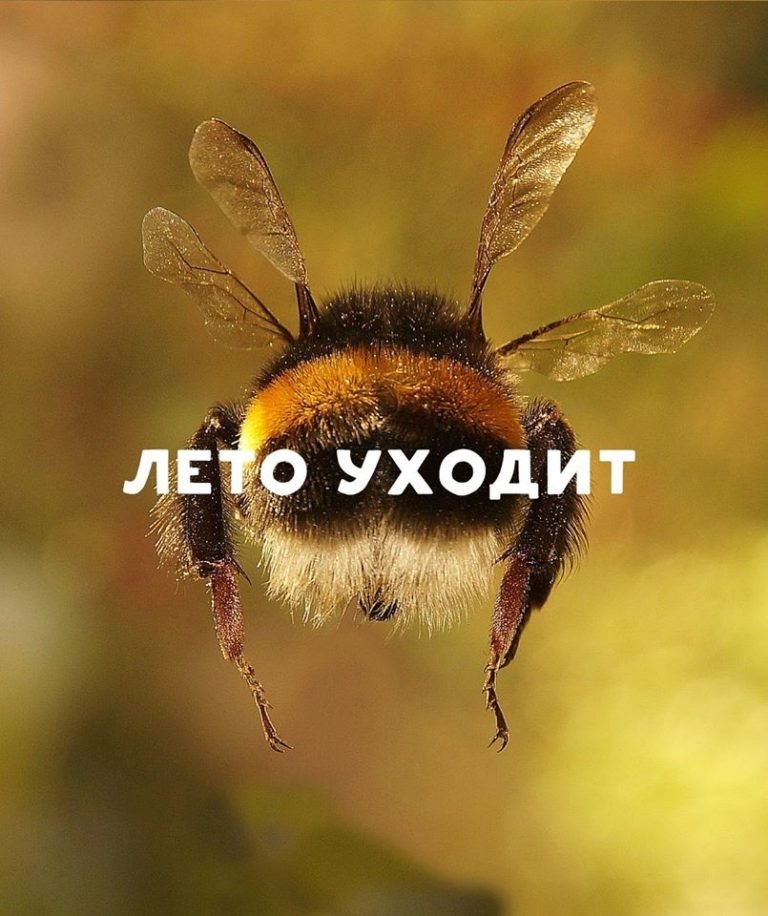   - 30  2025  18:34