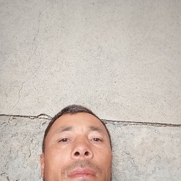  , 40, 