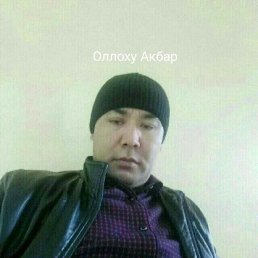 ����, 42 ����, ��������