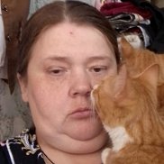 , 43 , 