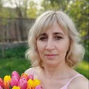 ���� �������, ����, 50 ��� - ��������� 24 ������� 2026 � ������ ���� ����������