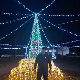 ��������, ������, 64 ����