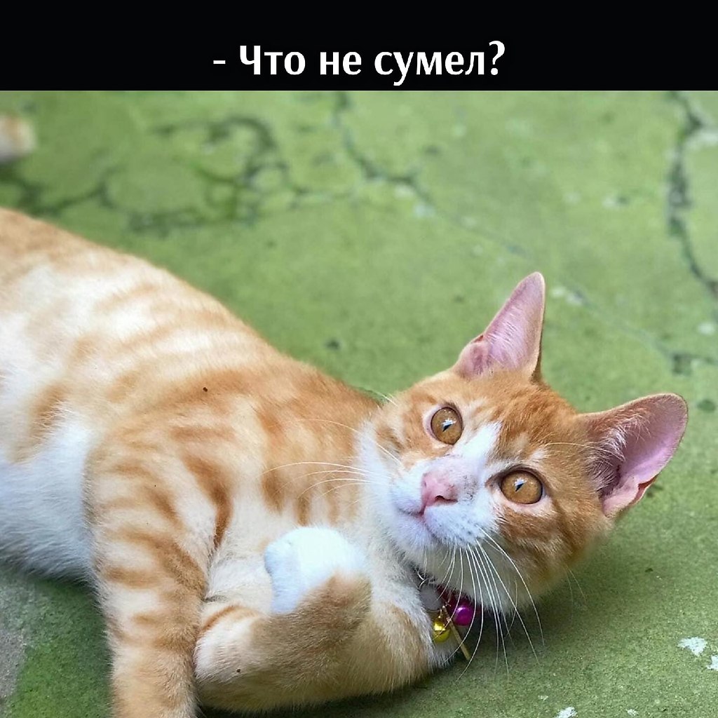       - 18  2025  15:54 - 5