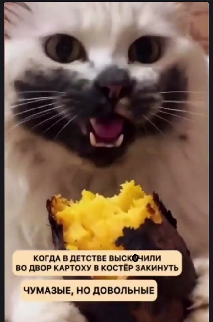 Ой, картошечка!