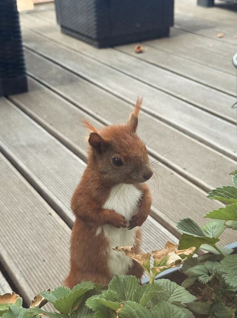 � � ��� ������� �� ��������? - 2