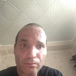 , 39, 