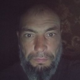 ���� �������, �������, 41 ���