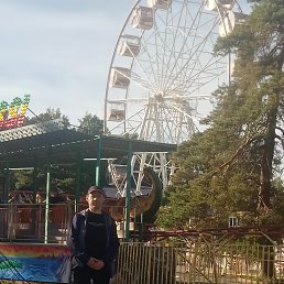 ����, 44 ����, ���������