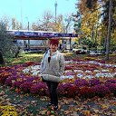 ���� �����, �����������, 58 ��� - ��������� 16 ����� 2026 � ������ ���� ����������