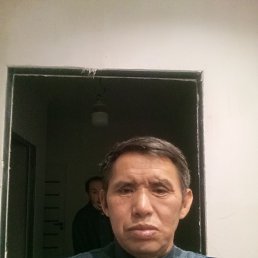 , 56, 