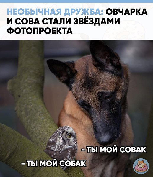 �������� �������� ���� ������ �������� �������� ����� ������ �������, ��� ����������� ������� ���� ...