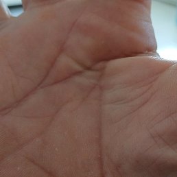 ����, �������, 55 ���