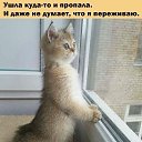  ,  -  8  2025    