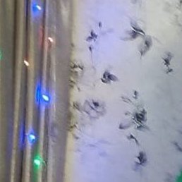 , , 47 