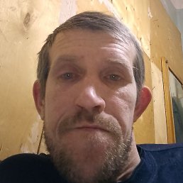 �����, ������, 40 ���