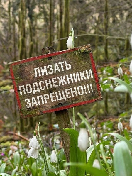 ����� �������� � ������� ���������� ������: �������� �������� ���� ������ ����������� ����� ����� � ... - 3