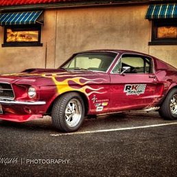 �������, ������, 49 ���