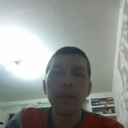 , 44, 