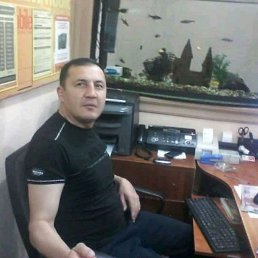 ���� �, �������, 84 ���� - ��������� 10 �������� 2024