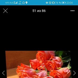, , 65 