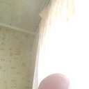 ���� ������, ������, 46 ��� - ��������� 9 ������ 2024 � ������ ���� ����������