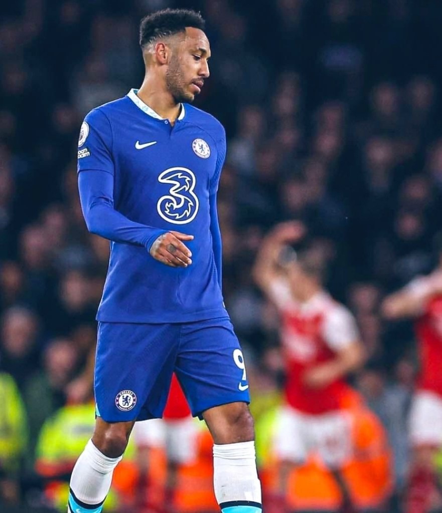   -         2022 . ...