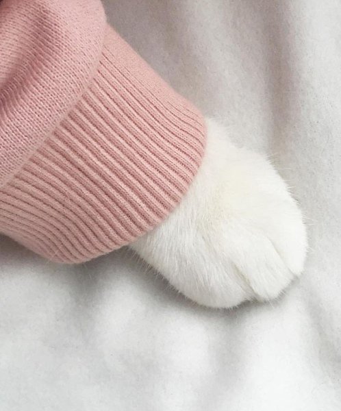    :3