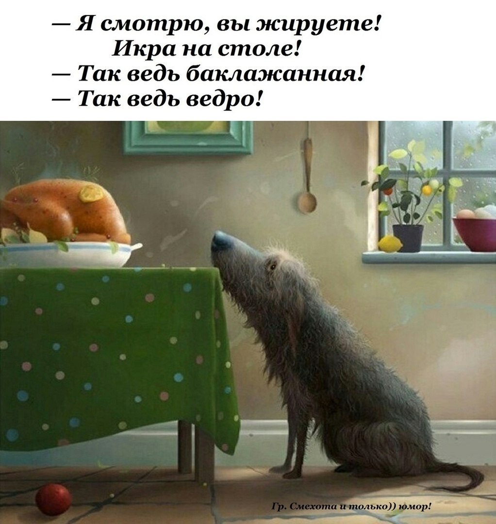  - 17  2024  17:12