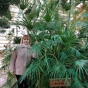 ���� ��������, ������� - ��������� 15 ������� 2024 � ������ ���� ����������