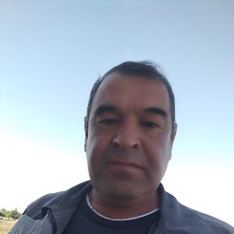 , 56 , 