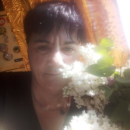 ���� ����, ���������, 49 ��� - ��������� 10 ��� 2026