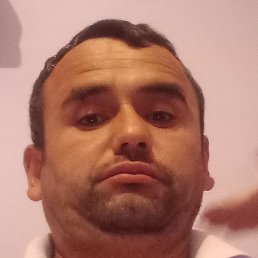 , , 44 