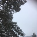 ���� �����, �������, 60 ��� - ��������� 29 ������� 2025 � ������ ������ ��������