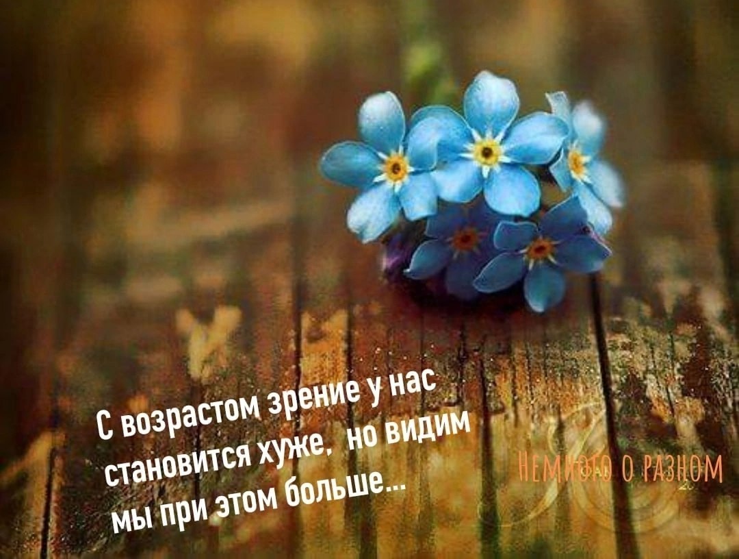   ,    . - 23  2025  20:18