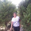 ���� ������, ������-��-����, 66 ��� - ��������� 13 ������ 2026 � ������ ���� ����������