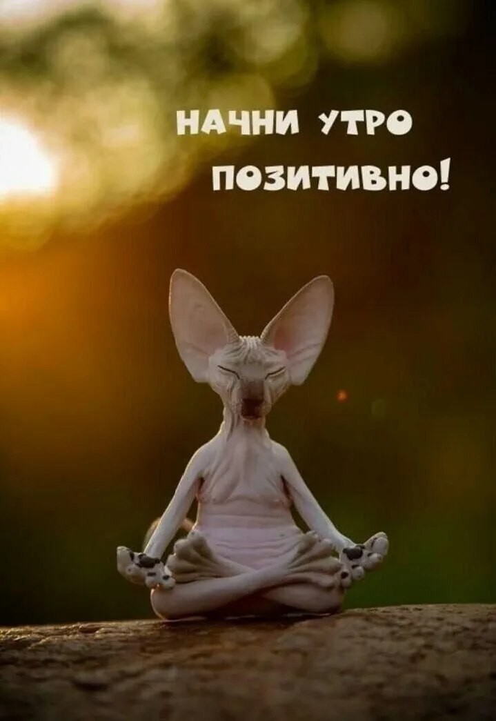 ***Victoria Viktorovna*** - 19  2025  03:07