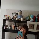 ���� ����, ������, 37 ��� - ��������� 14 ������ 2026 � ������ ���� ����������