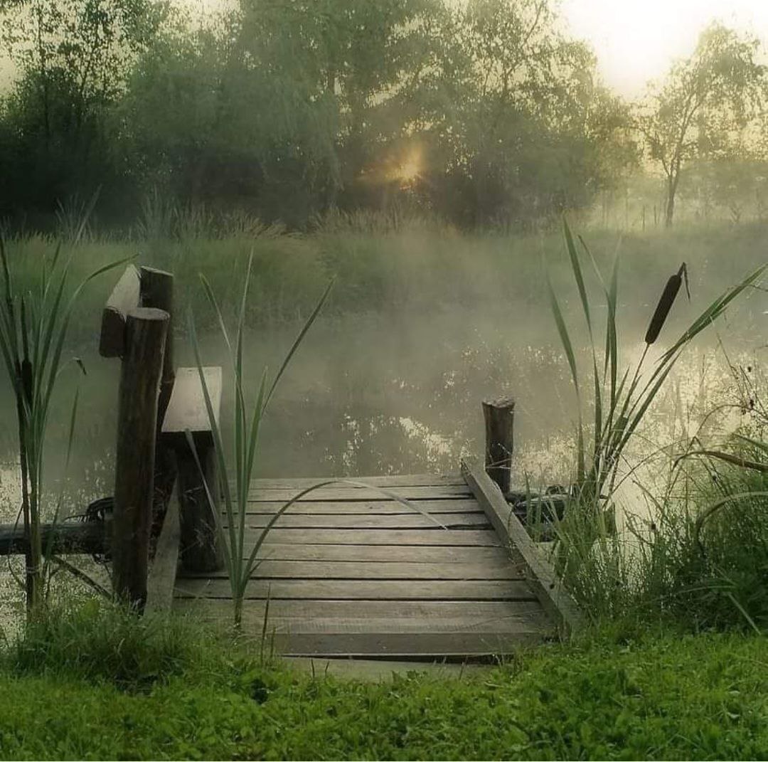 ������ ���� ������ ��������, ��� �������� �����...../��� ��������/