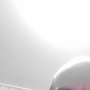 �������, 41 ���, ����