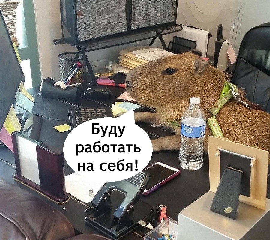   - 7  2025  18:07 - 2