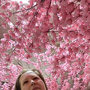 �����, 52 ����, ���������