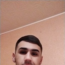 , 24, 